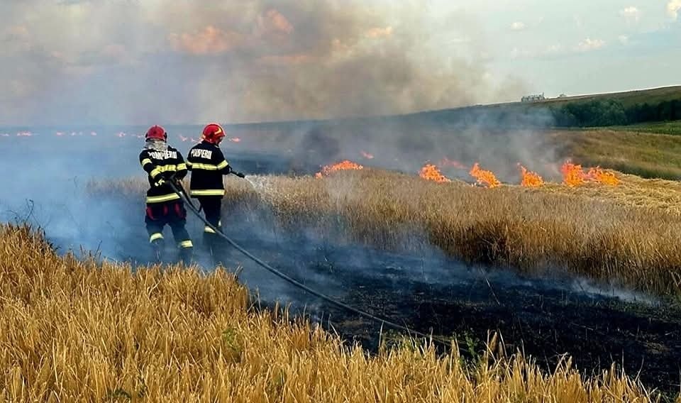 Incendiile au făcut prăpăd în Argeș: sute de pomi fructiferi, 4 autovehicule și mai multe anexe gospodărești au ars