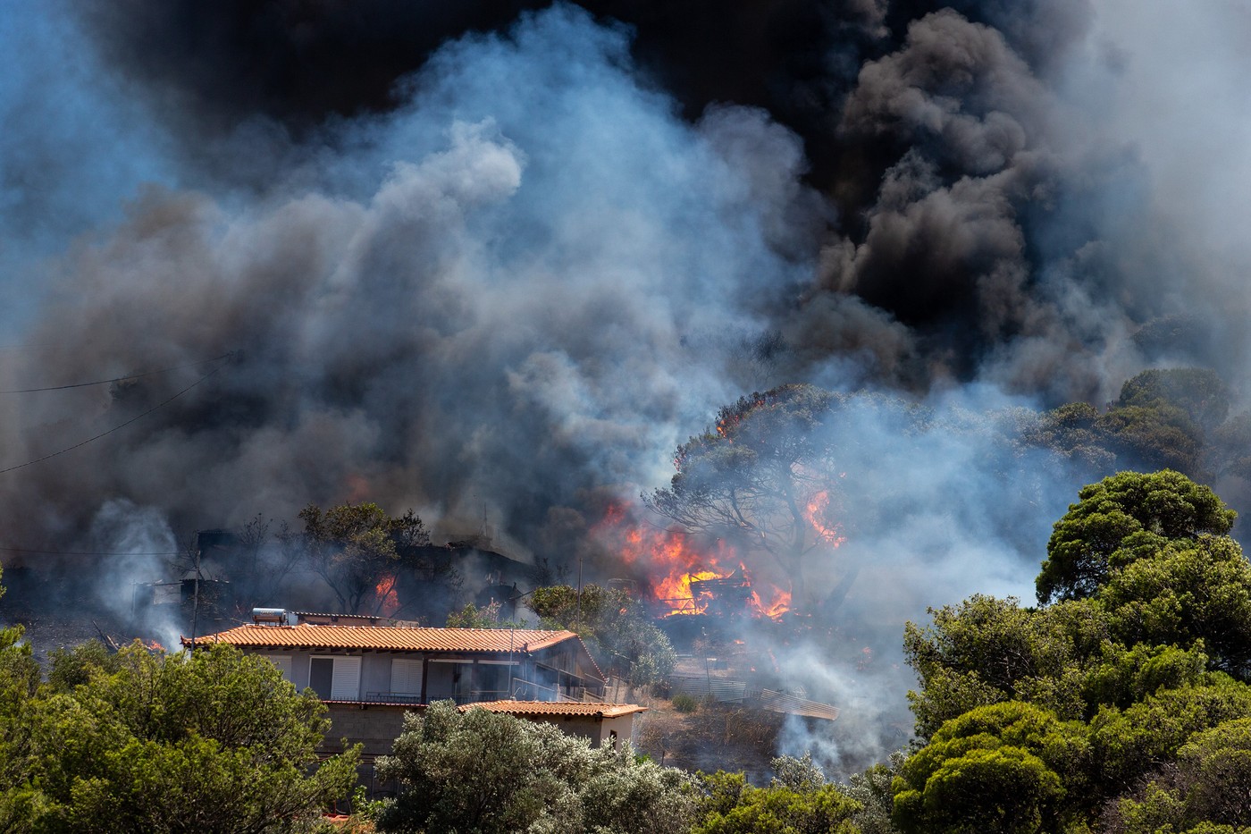 Incendii de vegetație în apropiere de Atena. Pompierii eleni au intervenit cu aeronave de stingere. Flăcări puternice și în Sicilia