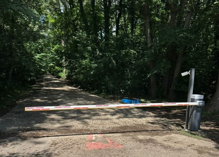 Ministrul Mediului: Pădurea Băneasa trebuie să fie înscrisă ca arie naturală protejată. Voi începe demersurile în acest sens